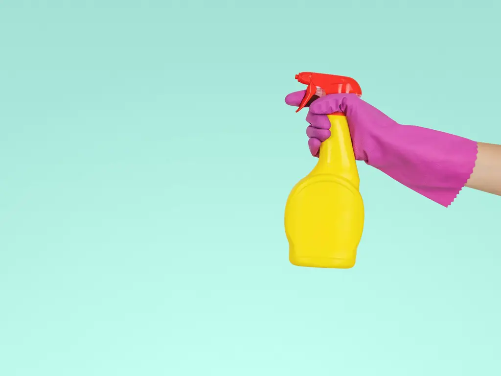 Eco-friendly, pet-safe cleaning supplies — brushes, cloths and plant-based products
